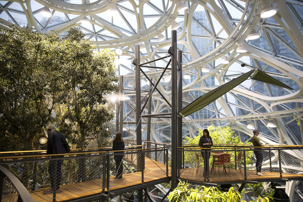 Amazon Unveils Biophilic Workspace