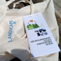 Neurourbanism Data Collection in Nova Gorica Complete!